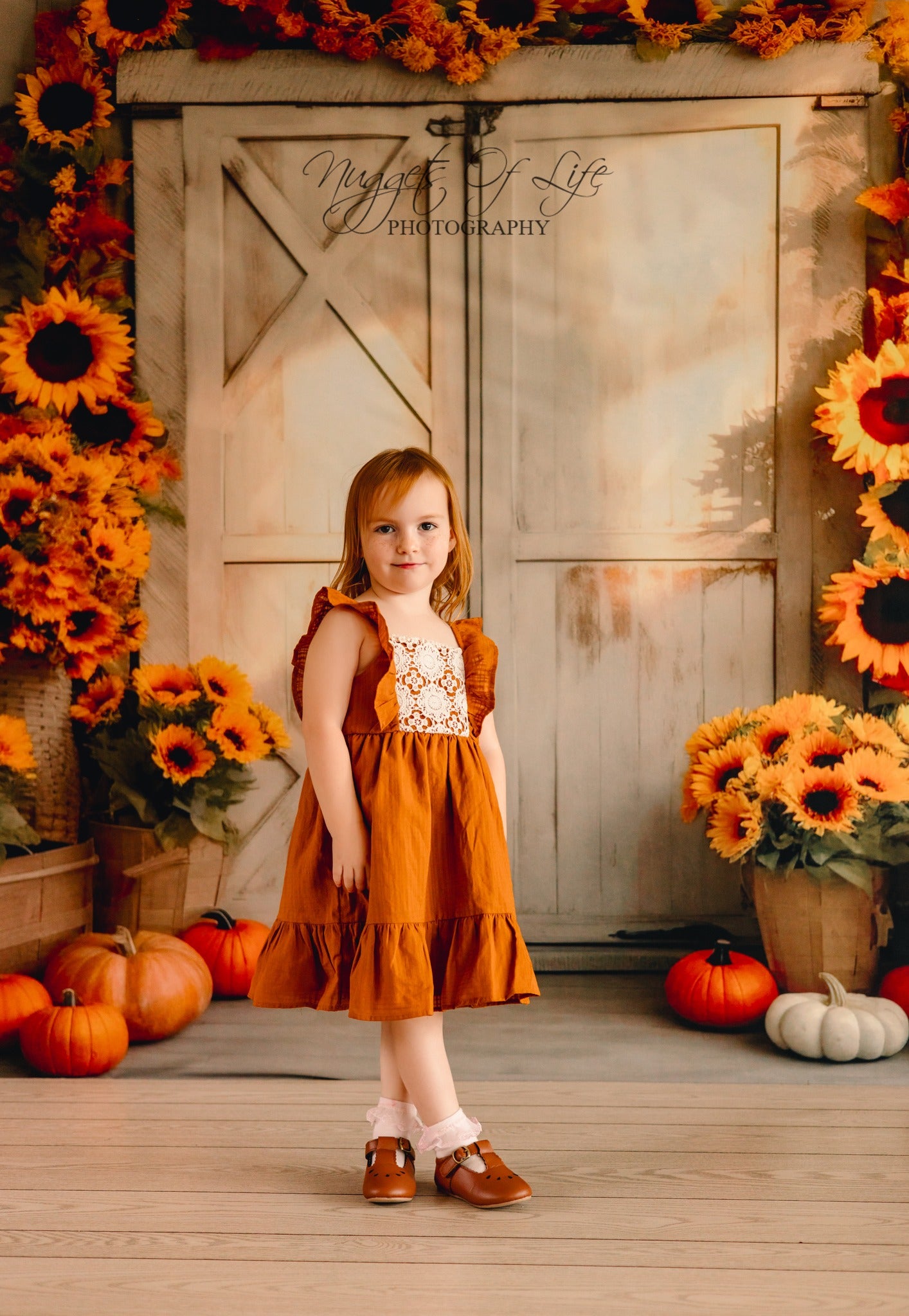 Kate Automne Tournesol Citrouille Grange Soleil Toile de fond conçue par Chain Photographie - Kate Backdrop FR
