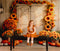 Kate Automne Tournesol Citrouille Grange Soleil Toile de fond conçue par Chain Photographie - Kate Backdrop FR