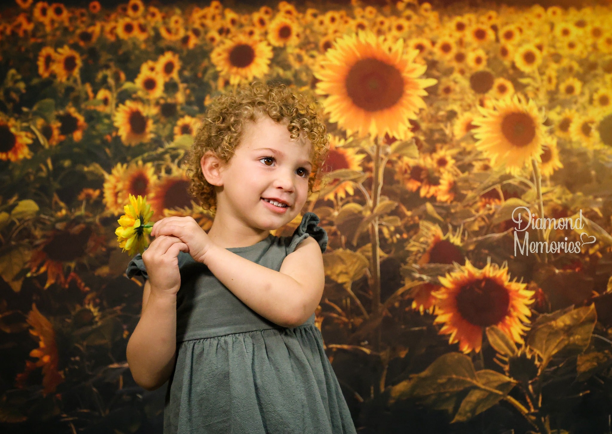 Kate Coucher de soleil Champ de tournesol Automne Toile de fond Conçu par Chain Photographie - Kate Backdrop FR