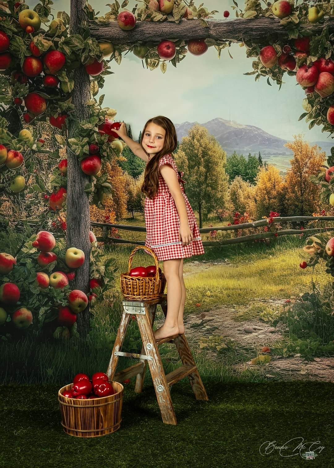 Kate Arche de pomme Arbre Montagne Toile de fond conçu par Angela Marie Photographie - Kate Backdrop FR