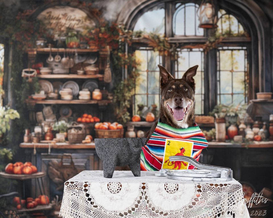 Kate Rétro Automne Cuisine peinte Toile de fond conçu par Emetselch