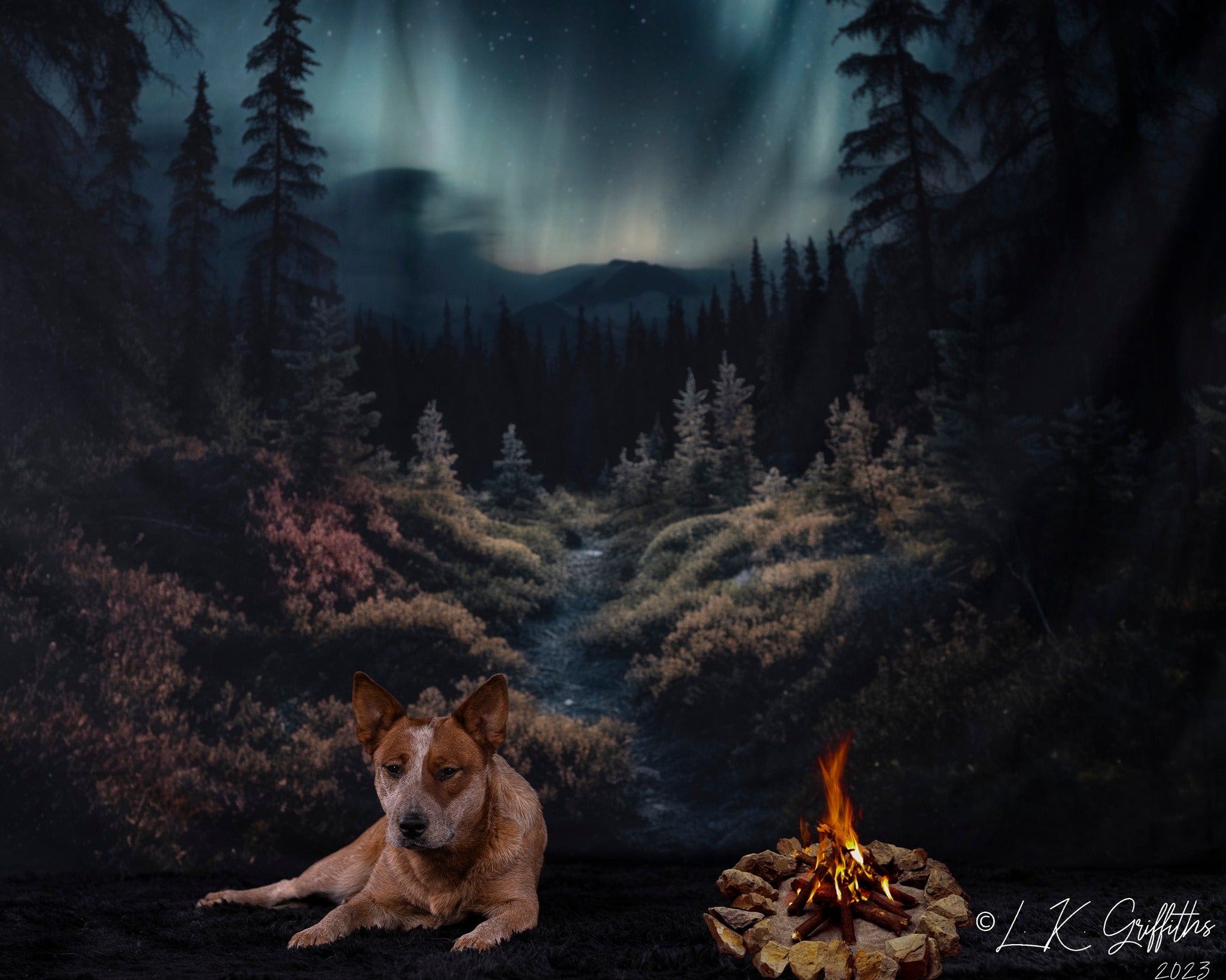 Kate Forêt avec Aurora Toile de fond conçue par Mandy Ringe