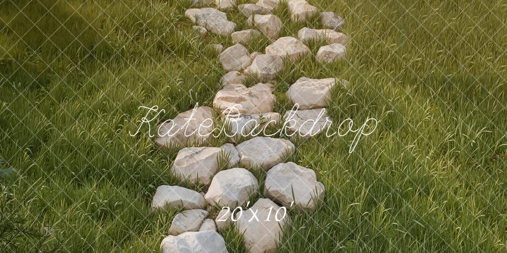 Kate Chemin Pierres Herbe Sol Toile de fond conçue par Kate Image - Kate Backdrop FR