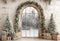Kate Noël Fenêtre Arbre Cadeaux Toile de fond conçue par Emetselch - Kate Backdrop FR