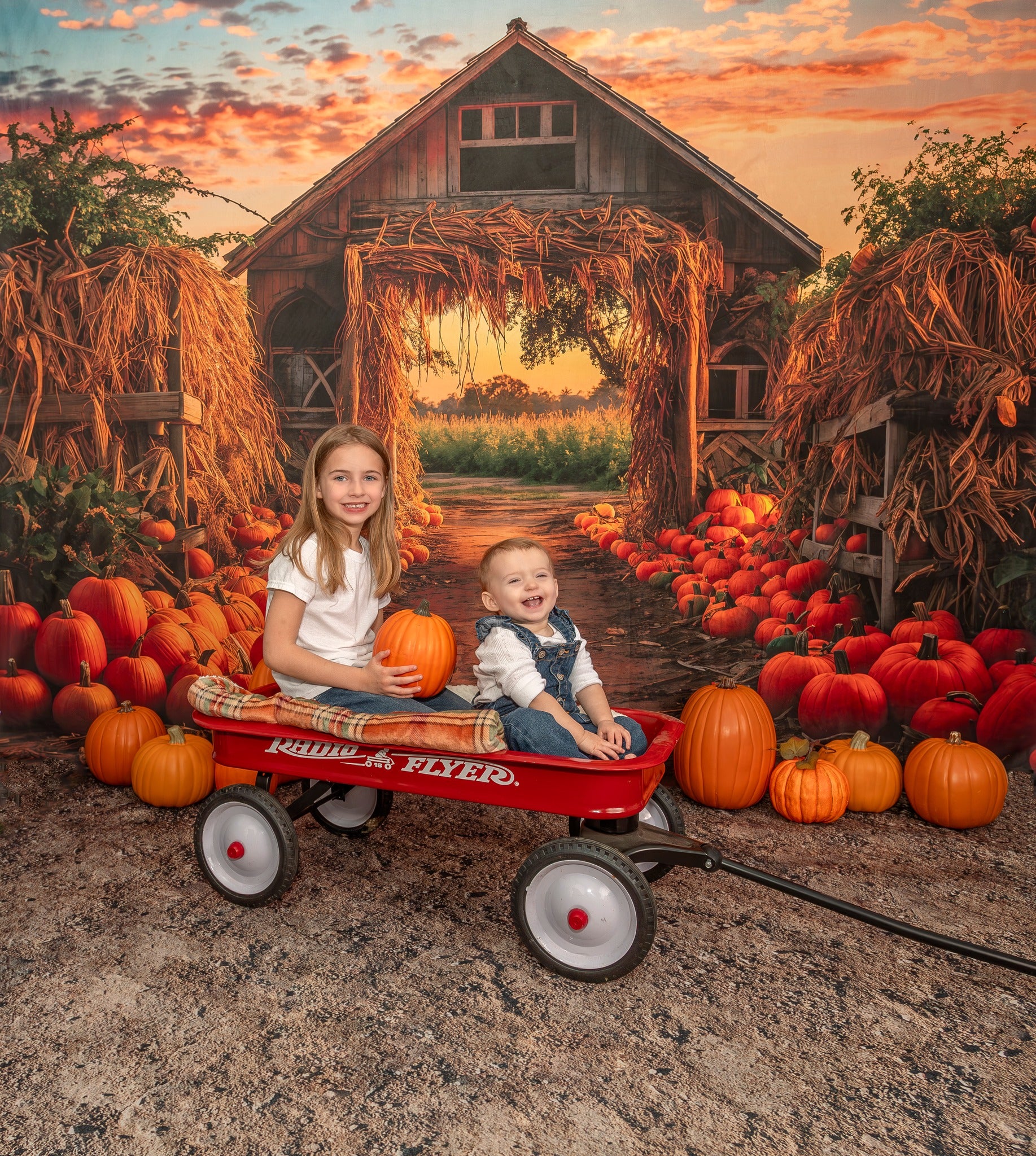 Kate Automne Ferme de citrouilles Porte Toile de fond pour la photographie - Kate Backdrop FR