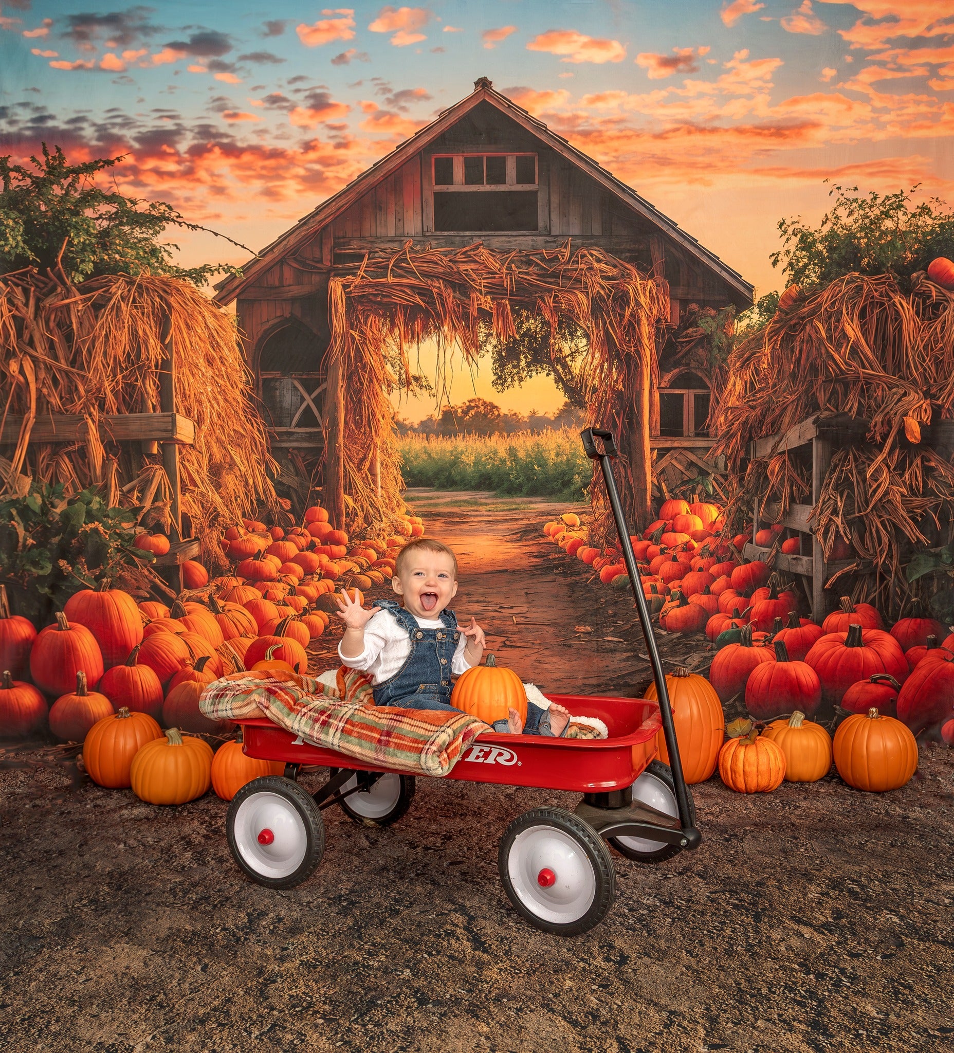 Kate Automne Ferme de citrouilles Porte Toile de fond pour la photographie - Kate Backdrop FR