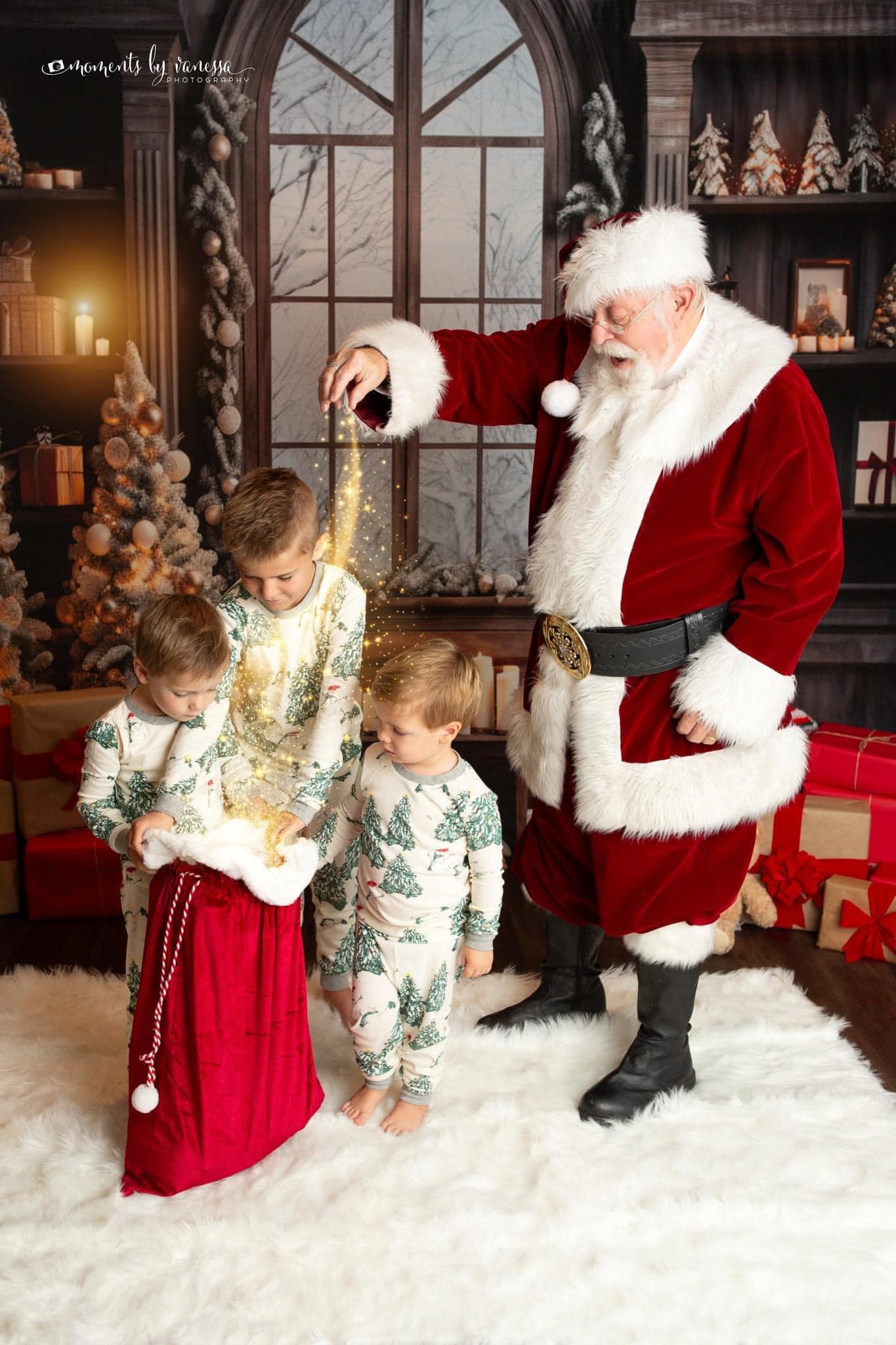 Kate Noël Fenêtre Arbre Ours en peluche Toile de fond conçue par Emetselch