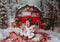 Kate Noël Voiture Rouge Cadeaux Arbres Toile de fond pour la photographie - Kate Backdrop FR