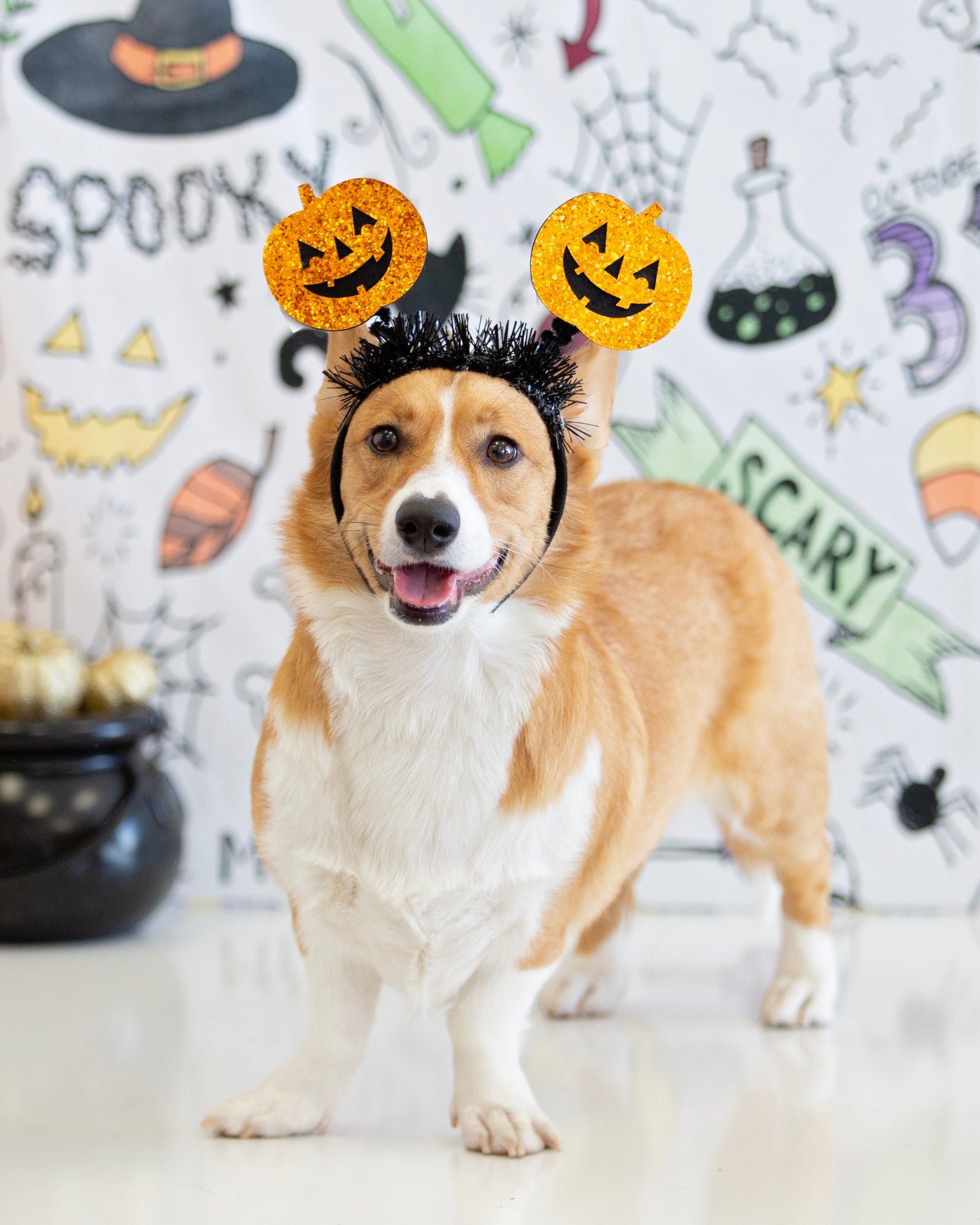 Kate Couleur Halloween Doodles Toile de fond conçue par Mandy Ringe - Kate Backdrop FR