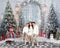 Offres Éclair Kate Noël Arbres Neige Porte Toile de fond en Laine conçu par Emetselch - Kate Backdrop FR