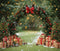 Kate Noël Arche Sapins Cadeaux Toile de fond en Laine conçue par Emetselch - Kate Backdrop FR