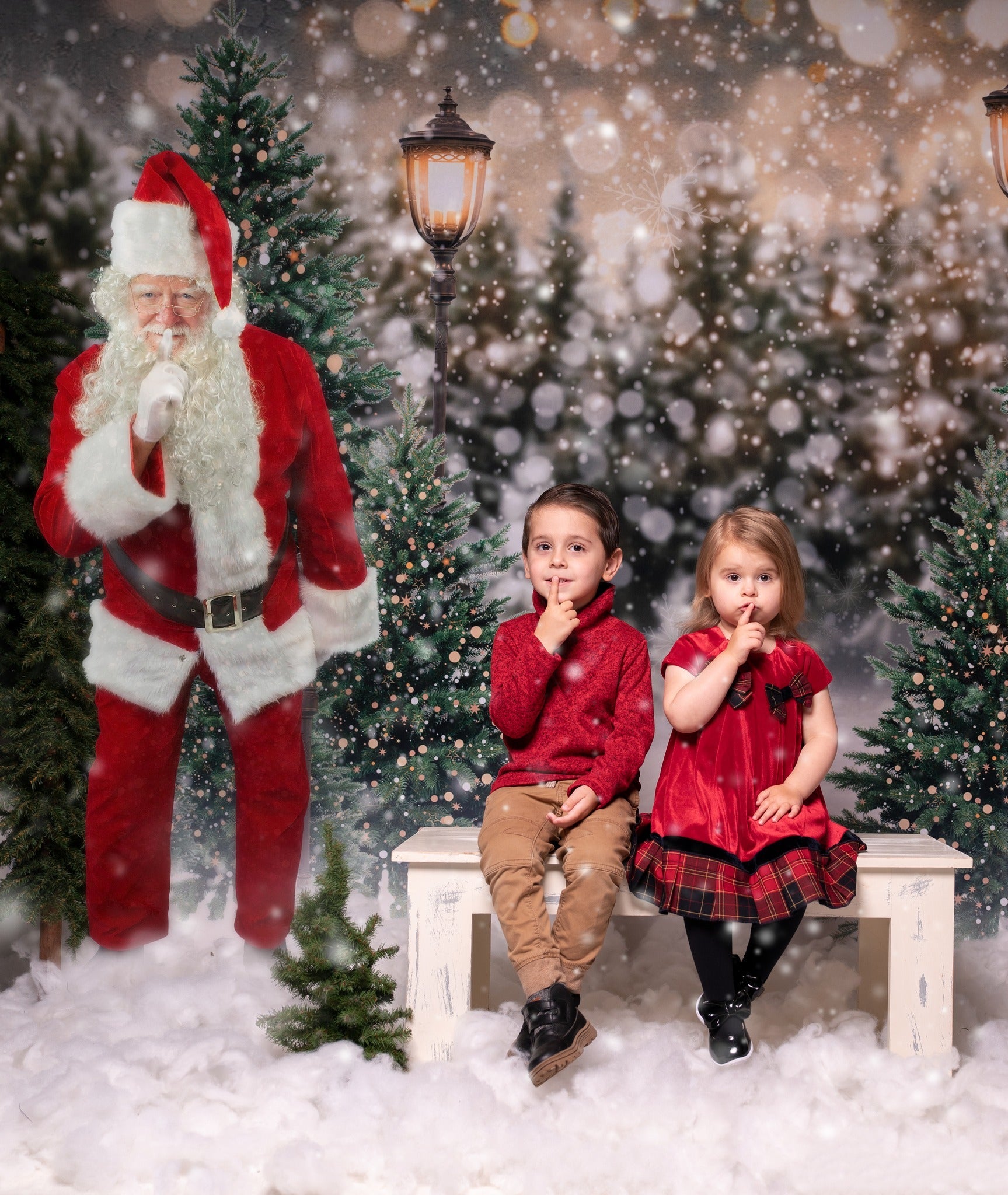 Kate Hiver Noël Neige Forêt Lumières Toile de fond en Laine pour la photographie - Kate Backdrop FR
