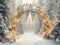 Kate Hiver Arche Guirlande Lumineuse Toile de fond conçue par Emetselch - Kate Backdrop FR