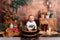 Kate Automne Rustique Récolte Grange Toile de fond conçue par Emetselch - Kate Backdrop FR