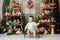 Kate Pâques Œufs Plantes vertes Lapin Chambre Toile de fond conçue par Emetselch - Kate Backdrop FR