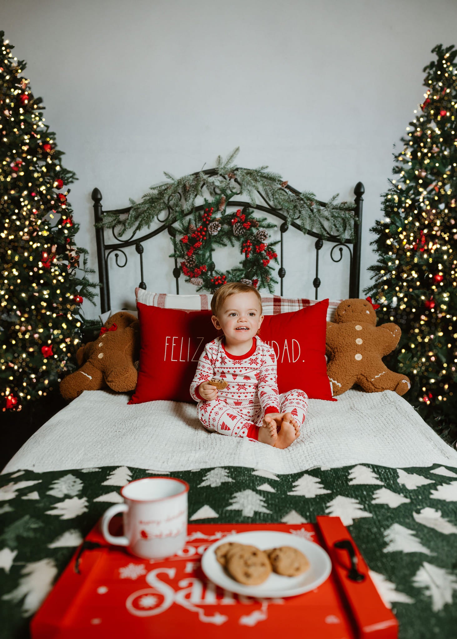 Kate Tête de lit Noël Arbre Vert Toile de fond conçue par Emetselch - Kate Backdrop FR