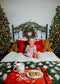 Kate Tête de lit Noël Arbre Vert Toile de fond conçue par Emetselch - Kate Backdrop FR