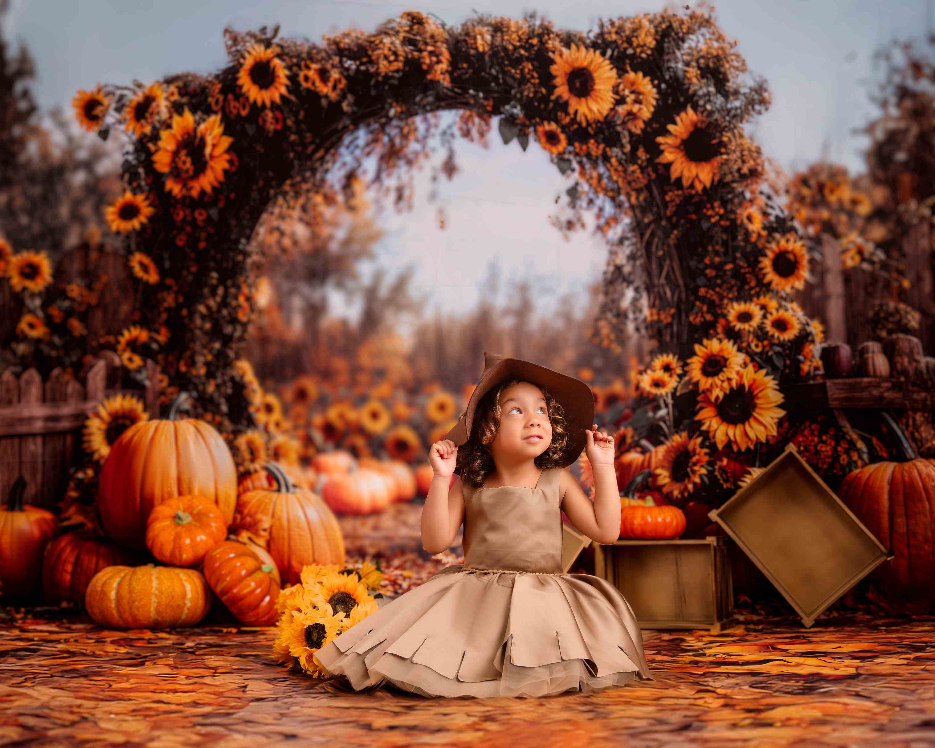 Kate Automne Tournesol Citrouille Arche Toile de fond conçue par Emetselch