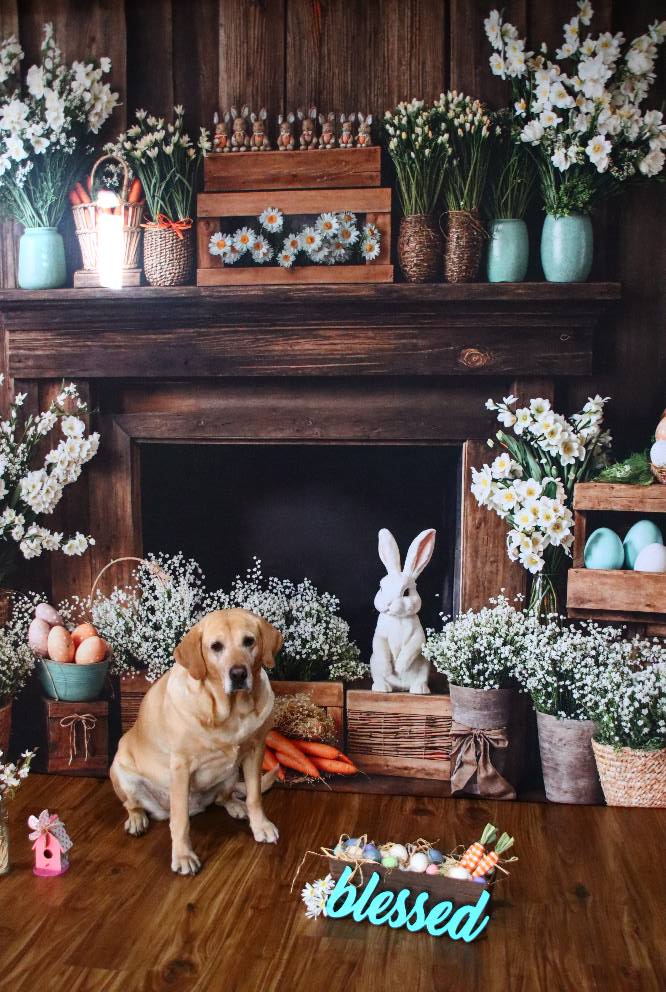 Kate Pâques Cheminée Lapin Rustique Floral Toile de fond conçue par Emetselch - Kate Backdrop FR