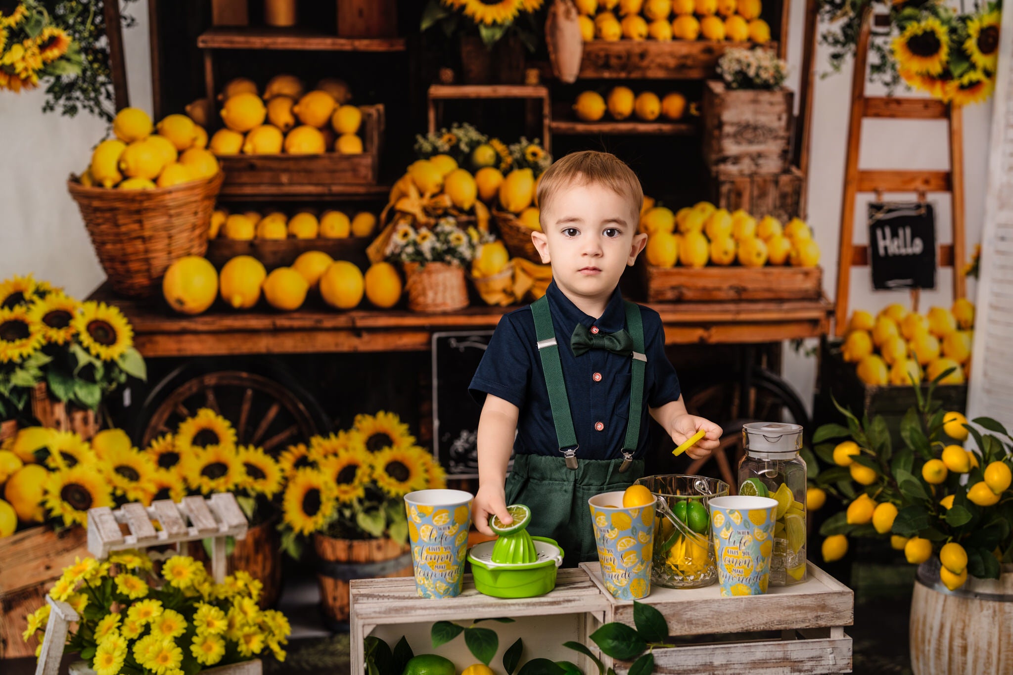 Kate Été Citron Tournesol Marché Toile de fond conçue par Emetselch