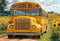 Kate Scolaire Bus Jaune Tournesols Toile de fond conçue par Emetselch - Kate Backdrop FR