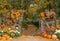 Kate Automne Tournesols Citrouilles Forêt Toile de fond conçue par Emetselch - Kate Backdrop FR