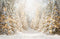 Kate Hiver Sapins Neige Lumière Toile de fond en Laine conçue par Emetselch - Kate Backdrop FR