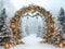 Kate Hiver Arche Sapins Lanternes Toile de fond conçue par Emetselch