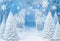 Kate Hiver Portail Flocons Neige Toile de fond en Laine conçue par Emetselch