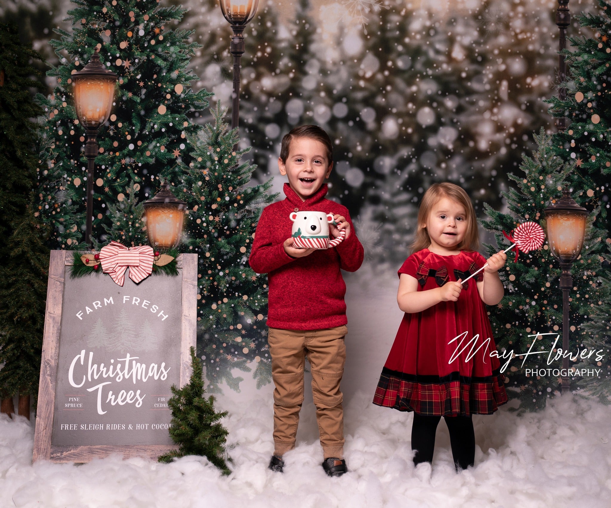 Kate Hiver Noël Neige Forêt Lumières Toile de fond en Laine pour la photographie - Kate Backdrop FR