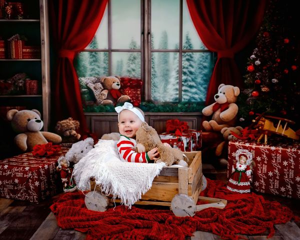 Kate Sapin de Noël Cadeaux Hiver Intérieur Toile de fond Conçu par Chain Photographie - Kate Backdrop FR