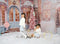Kate Noël Rose Neige Rue Magasin Ensemble de chambre (8pix8pi&10pix8pi&8pix10pi) - Kate Backdrop FR