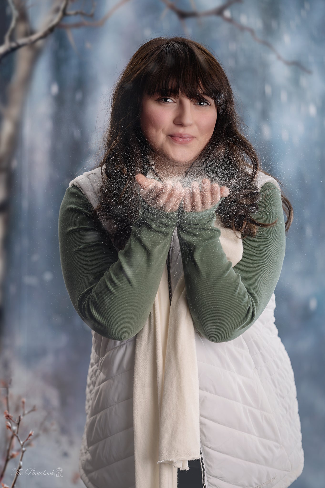 Kate Forêt enneigée Hiver Toile de fond pour la photographie conçue par Jerry_Sina