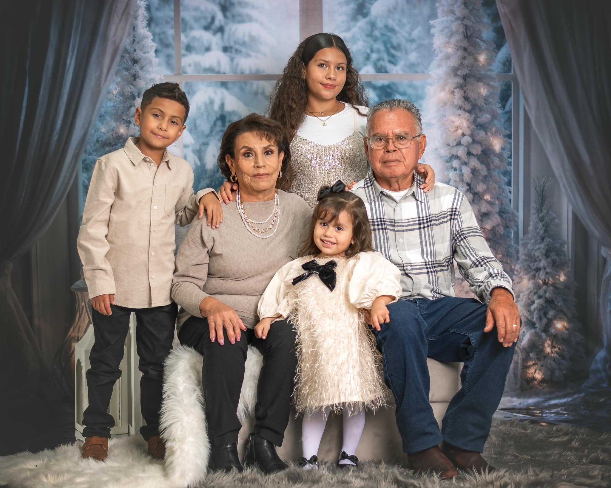 Kate Hiver Sapin de Noël Fenêtre Lumière Toile de fond conçue par Emetselch - Kate Backdrop FR