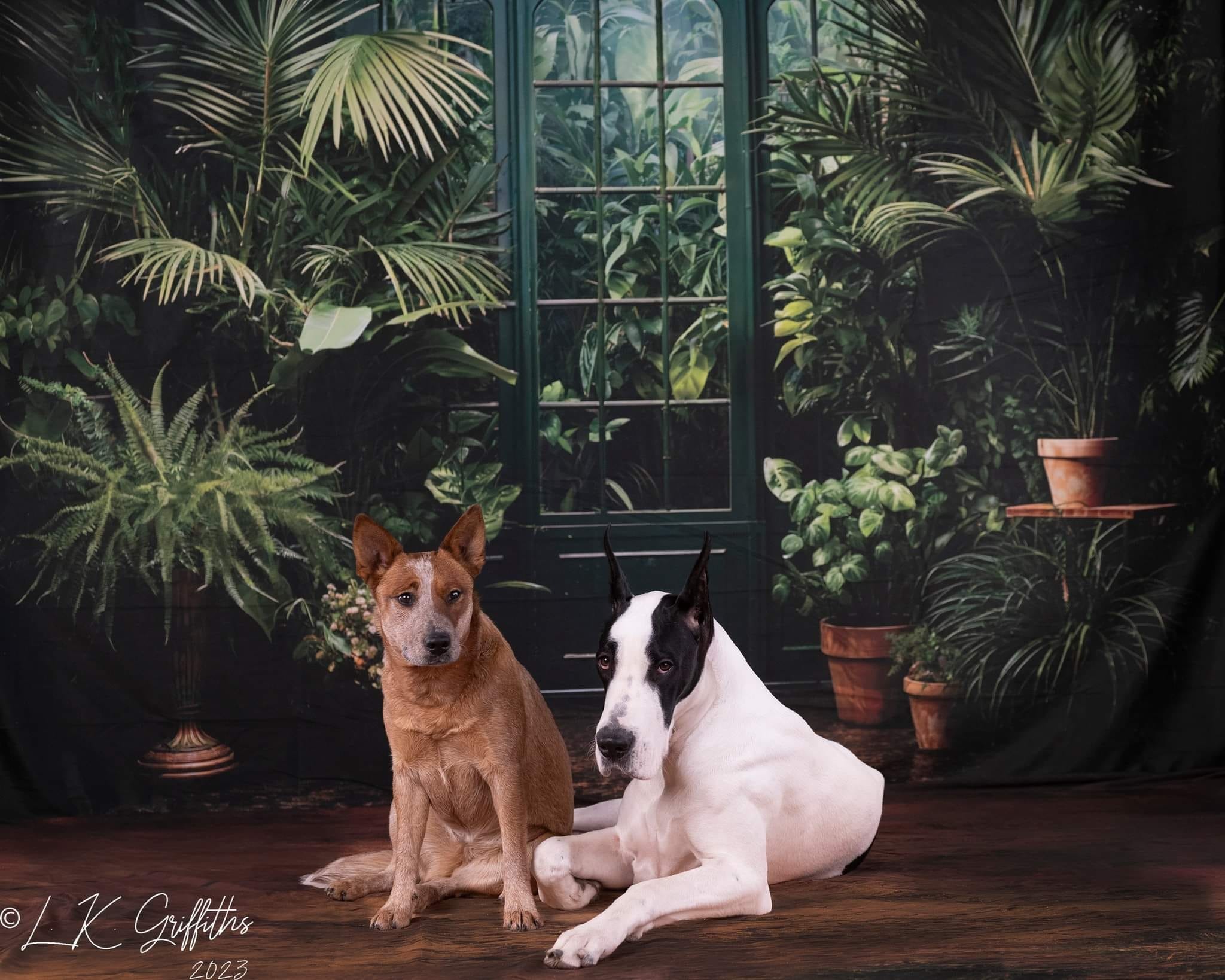 Kate Printemps/Été Vert Plantes Porte Toile de fond conçue par Emetselch - Kate Backdrop FR