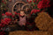 Kate Saint Valentin Rouge Chambre des roses Toile de fond conçue par Emetselch - Kate Backdrop FR