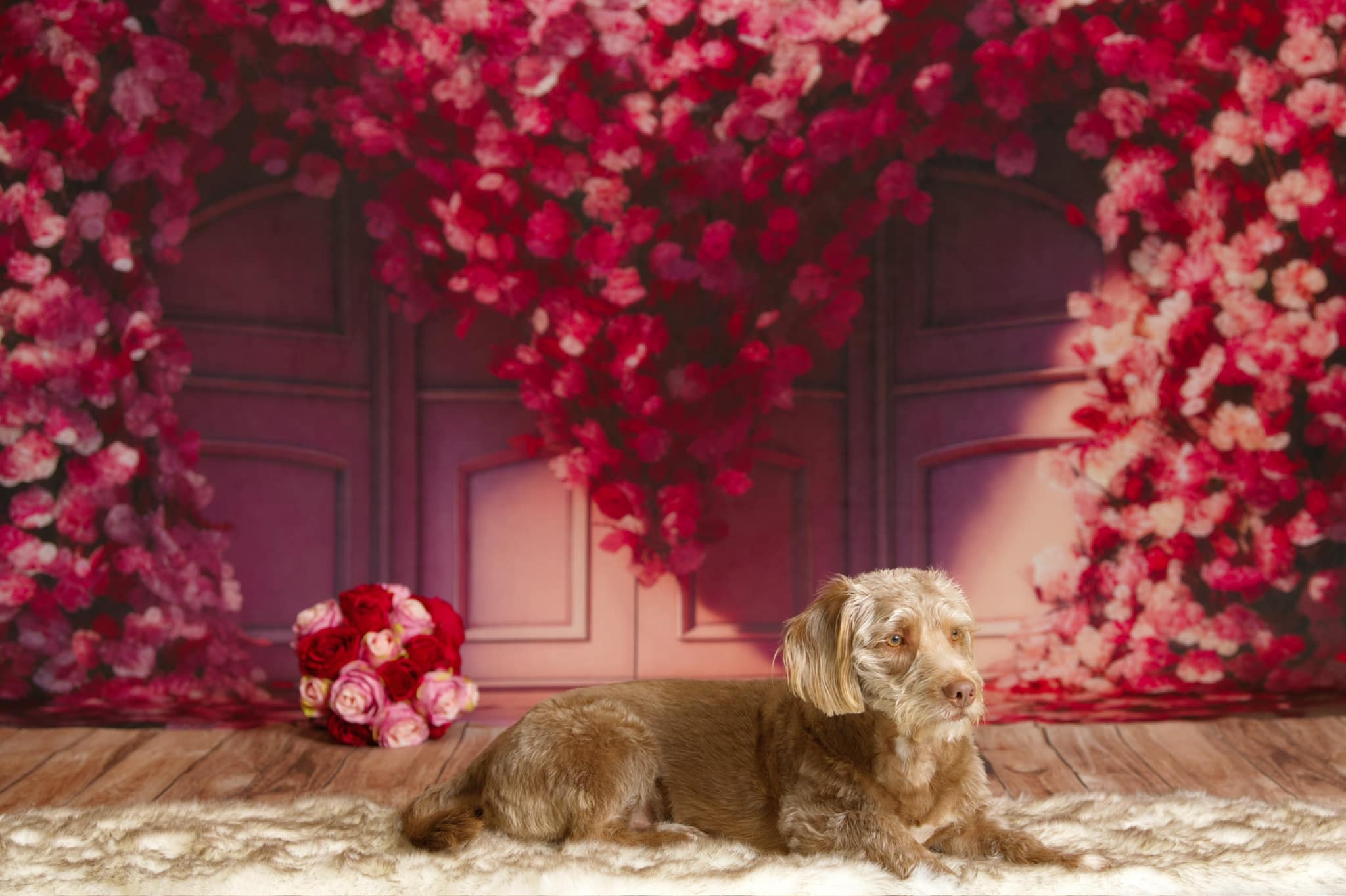 Kate Saint-Valentin Fleur Cœur Porte Toile de fond conçue par Mini MakeBelieve - Kate Backdrop FR