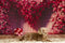 Kate Saint-Valentin Fleur Cœur Porte Toile de fond conçue par Mini MakeBelieve - Kate Backdrop FR
