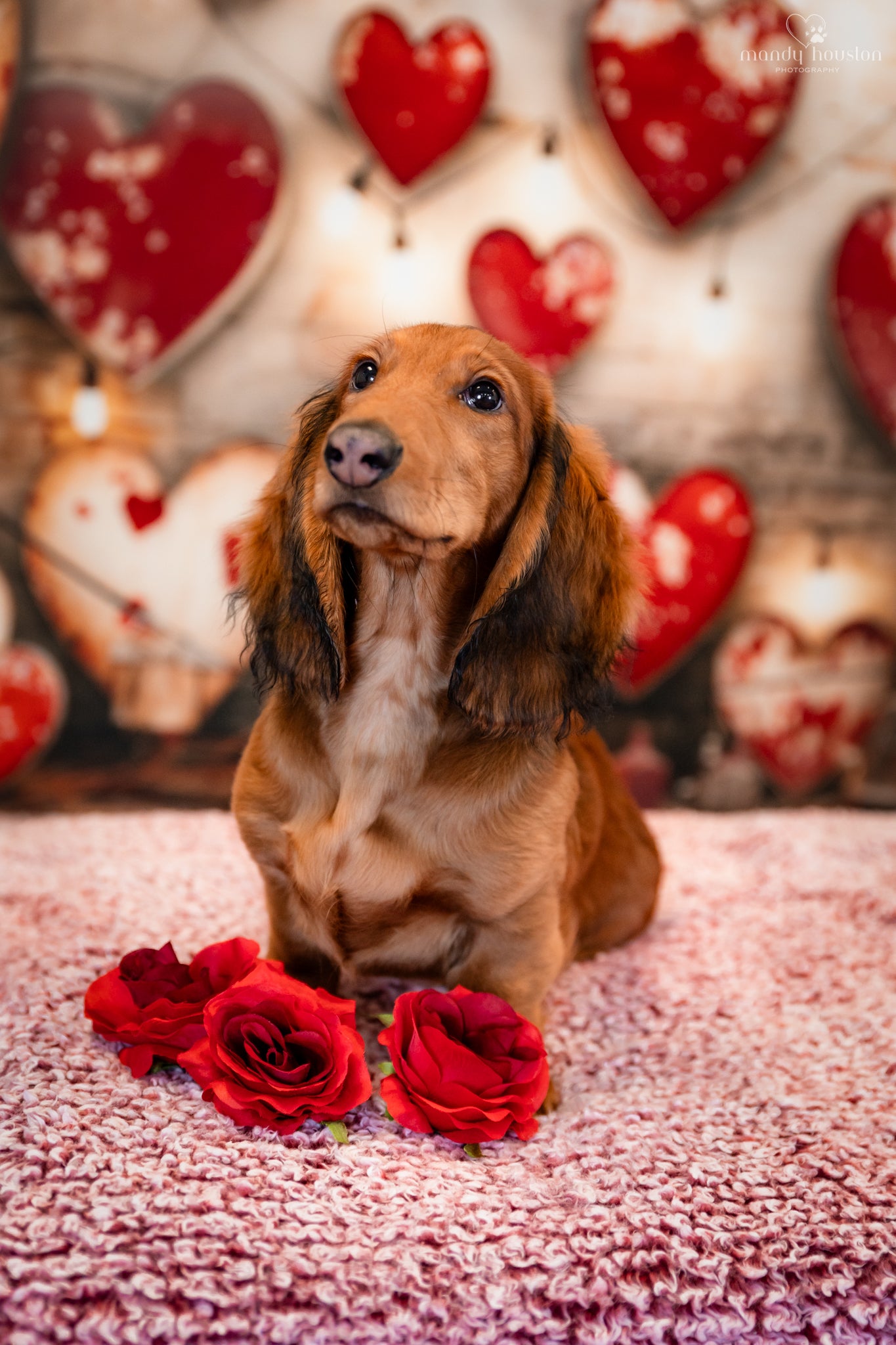Kate Saint Valentin Lampe rétro Mur Amour Toile de fond conçue par Emetselch - Kate Backdrop FR