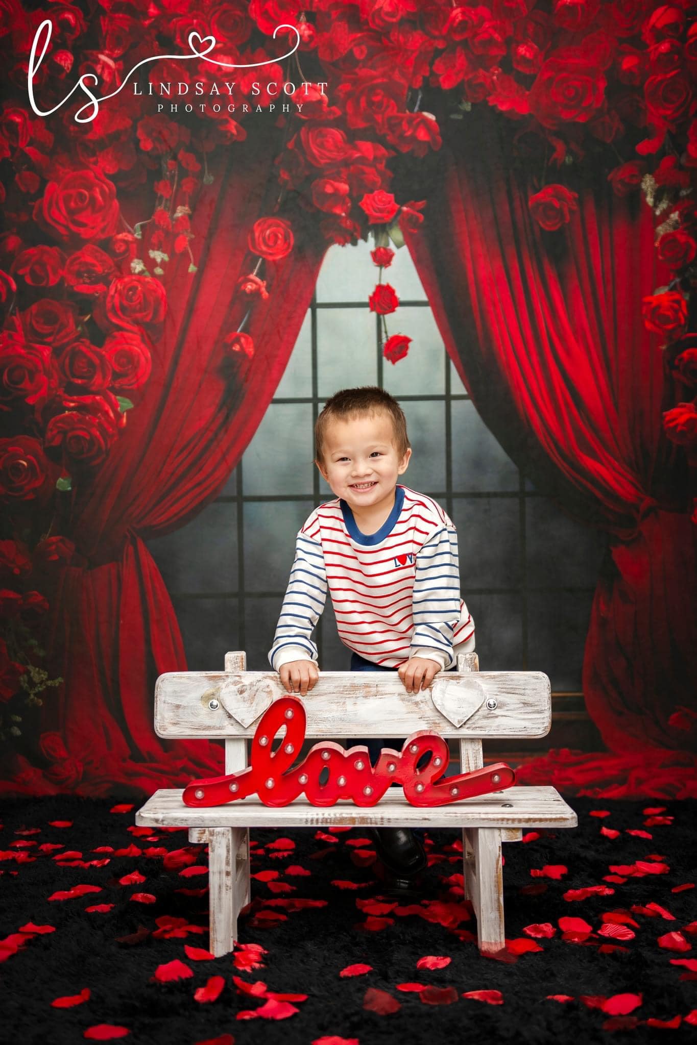 Kate Roses Rideaux Rouge Saint Valentin Toile de fond conçue par Mini MakeBelieve - Kate Backdrop FR
