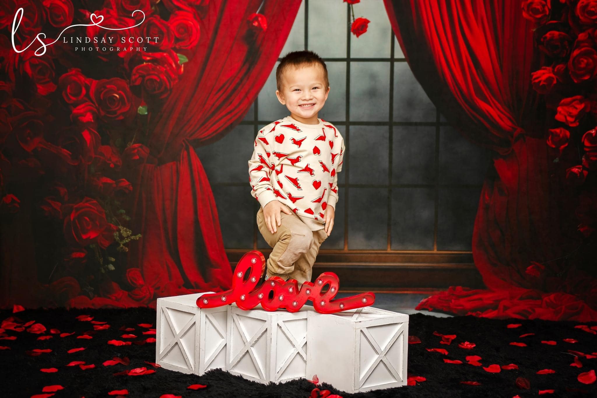 Kate Roses Rideaux Rouge Saint Valentin Toile de fond conçue par Mini MakeBelieve