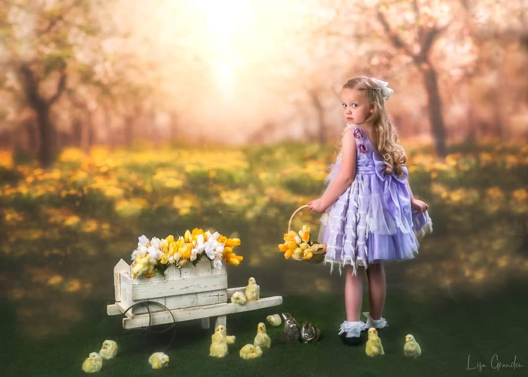 Kate Verger Printemps Arbres Fleurs Jaune Toile de fond conçue par Lisa Granden - Kate Backdrop FR