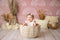 Kate Arc-en-ciel Boho neutre Rose Toile de fond conçue par Mandy Ringe - Kate Backdrop FR