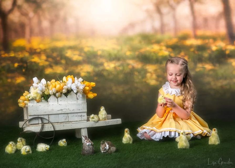 Kate Verger Printemps Arbres Fleurs Jaune Toile de fond conçue par Lisa Granden - Kate Backdrop FR