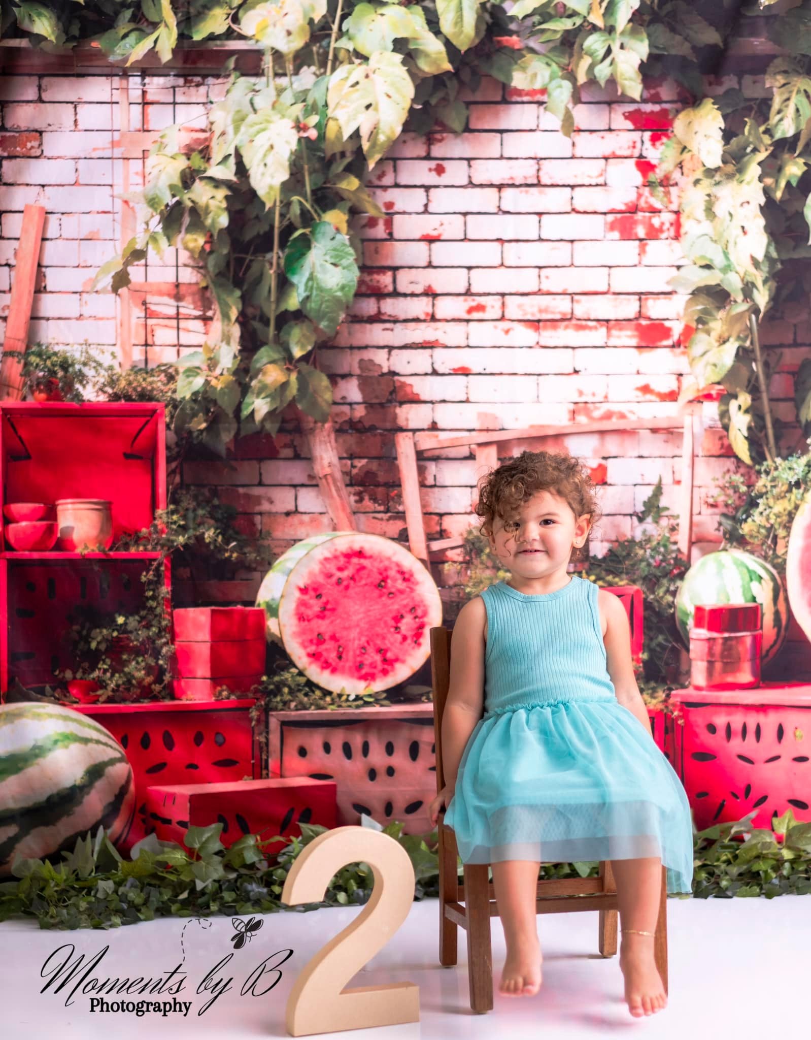 Kate Été Plantes Mur de briques Pastèque Toile de fond conçue par Emetselch - Kate Backdrop FR