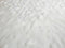 Kate Hiver Neige Blanche Sol Toile de fond conçue par Emetselch - Kate Backdrop FR