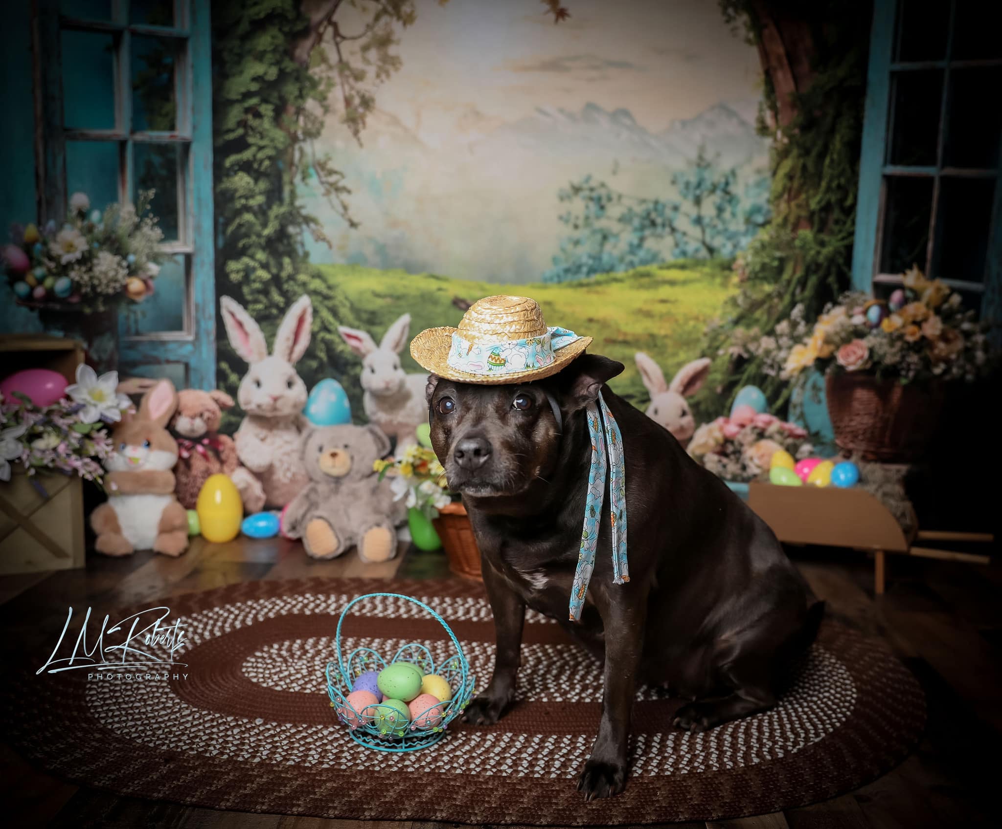 Kate Pâques Lapin Fenêtre Paysage Toile de fond en Laine pour la photographie - Kate Backdrop FR
