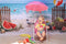 Kate Été Mer Plage Pastèque Oiseau Clôture Toile de fond conçue par Emetselch - Kate Backdrop FR