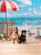 Kate Été Mer Plage Pastèque Oiseau Clôture Toile de fond conçue par Emetselch - Kate Backdrop FR