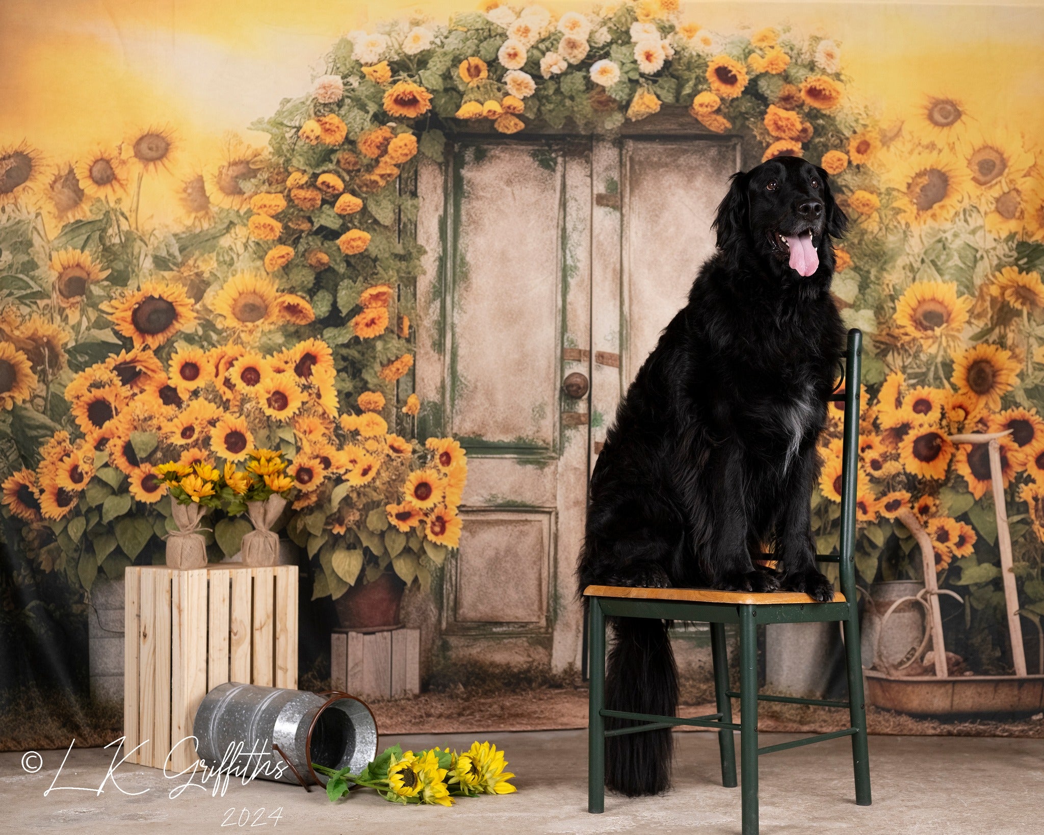 Kate Tournesol Automne Été Porte Jaune Toile de fond pour la photographie - Kate Backdrop FR